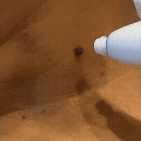 Applicazione – passo dopo passo