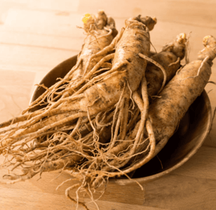 Extracto de Panax Ginseng